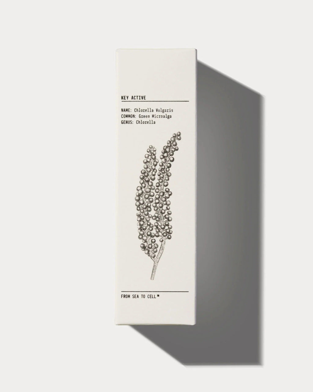 Mattifying Moisturiser