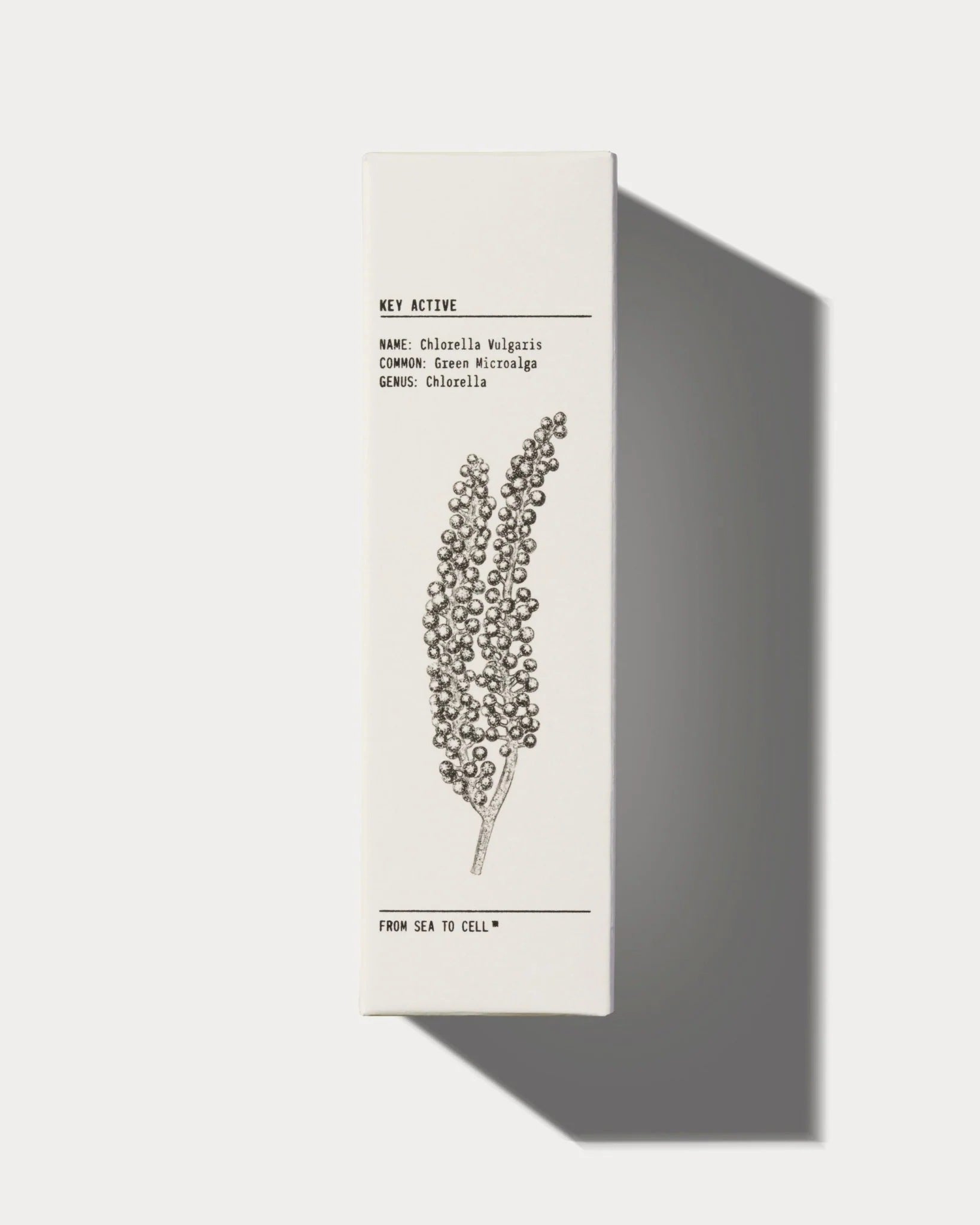 Mattifying Moisturiser