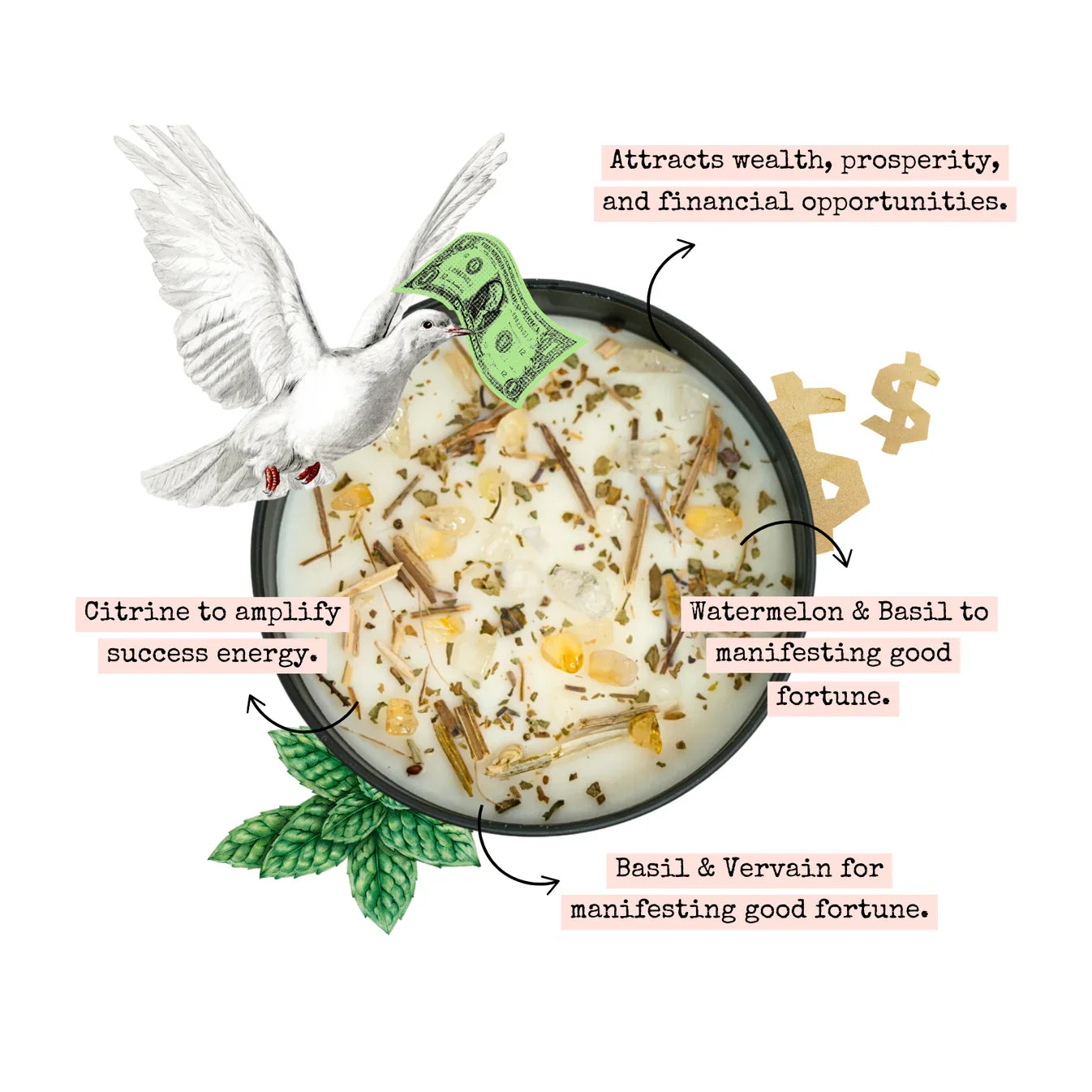Money Magnet Ritual Set prosperity bath with citrine, basil, vervain and watermelon, featuring a white dove, money and wealth manifestation symbolism.