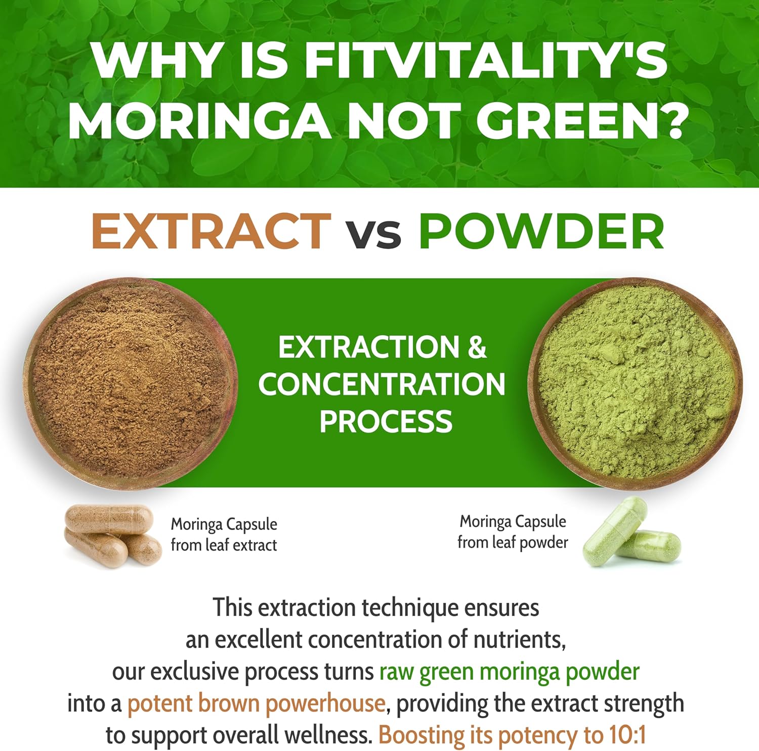 Comparison of Moringa extract and powder with text explaining the process. Moringa Capsules | 300 Capsules | Moringa Oleifera | 10,000mg