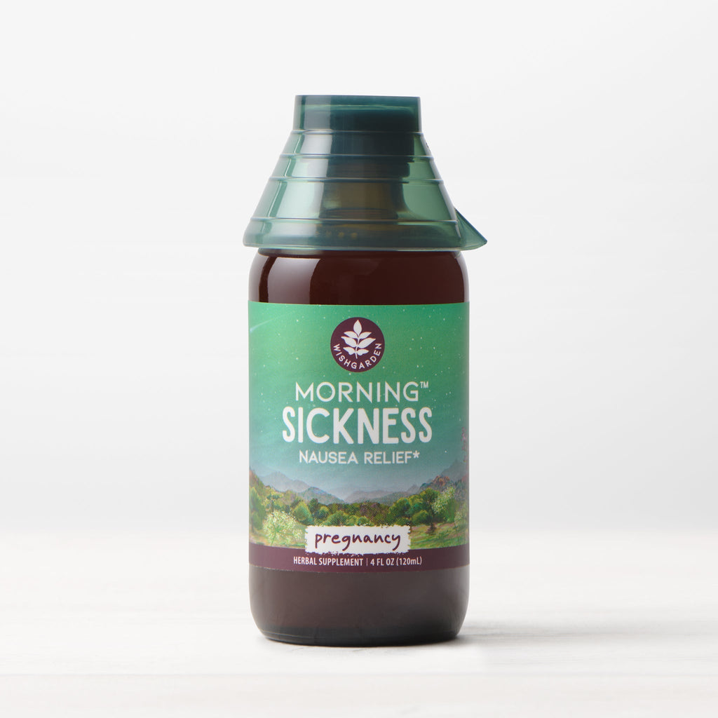 Bottle of 'Morning Sickness' nausea relief supplement with green label on a white background. Bottle of 'Morning Sickness Nausea Relief' with a green label on a white background. Herbal liquid pump bottle with Marshmallow root, Dandelion root, Burdock root, Cardamom seed, Cinnamon bark, Ginger root.