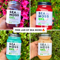 Organic wildcrafted sea moss gel flavors collage featuring elderberry, berry blast, blue Hawaiian, and pineapple mango sea moss gel jars with free jar promotion, St. Lucia sea moss, vegan superfood, mineral-rich wellness supplement, immune support, digestive health, and natural energy support.