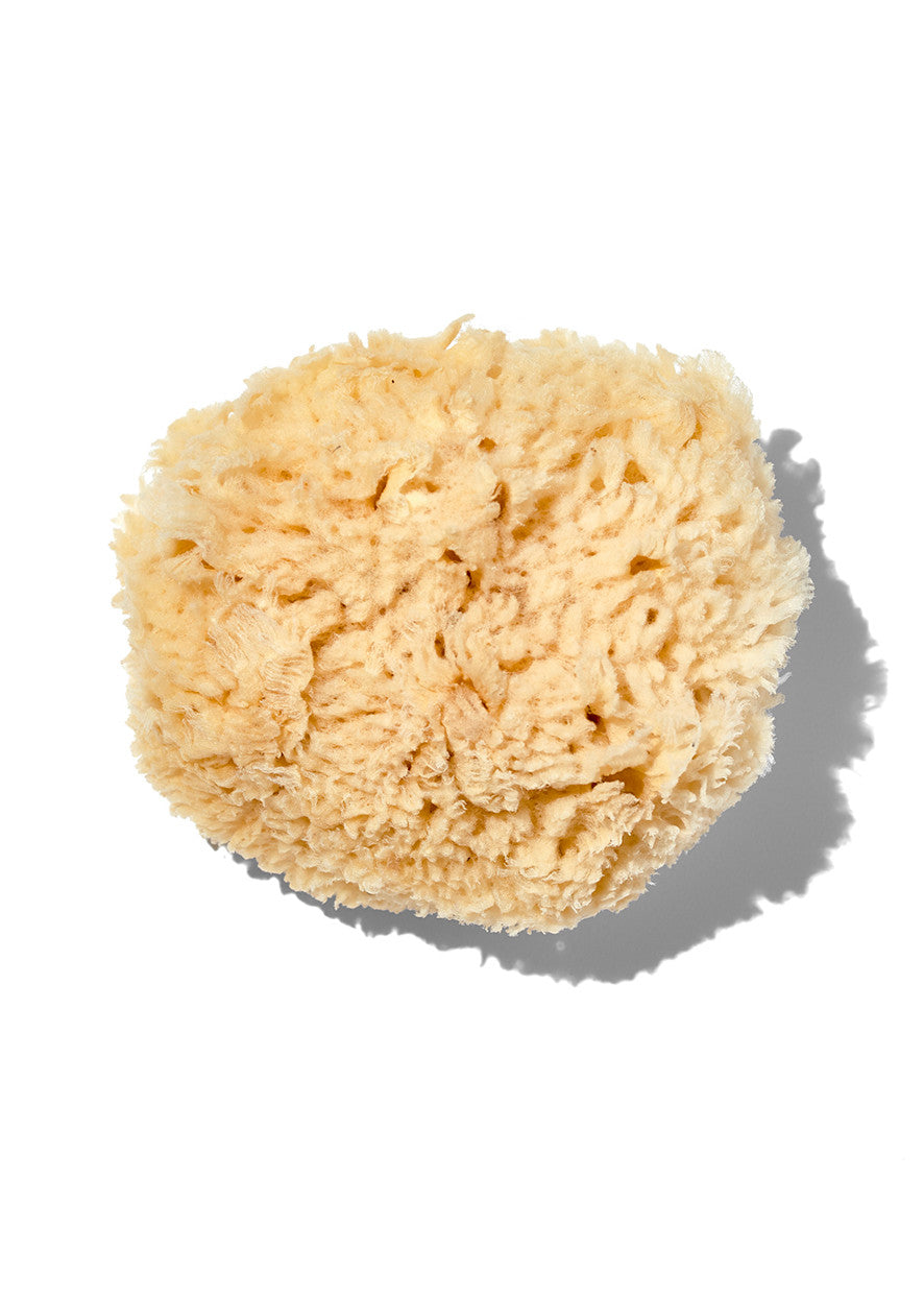 Natural beige wool sponge on a white background