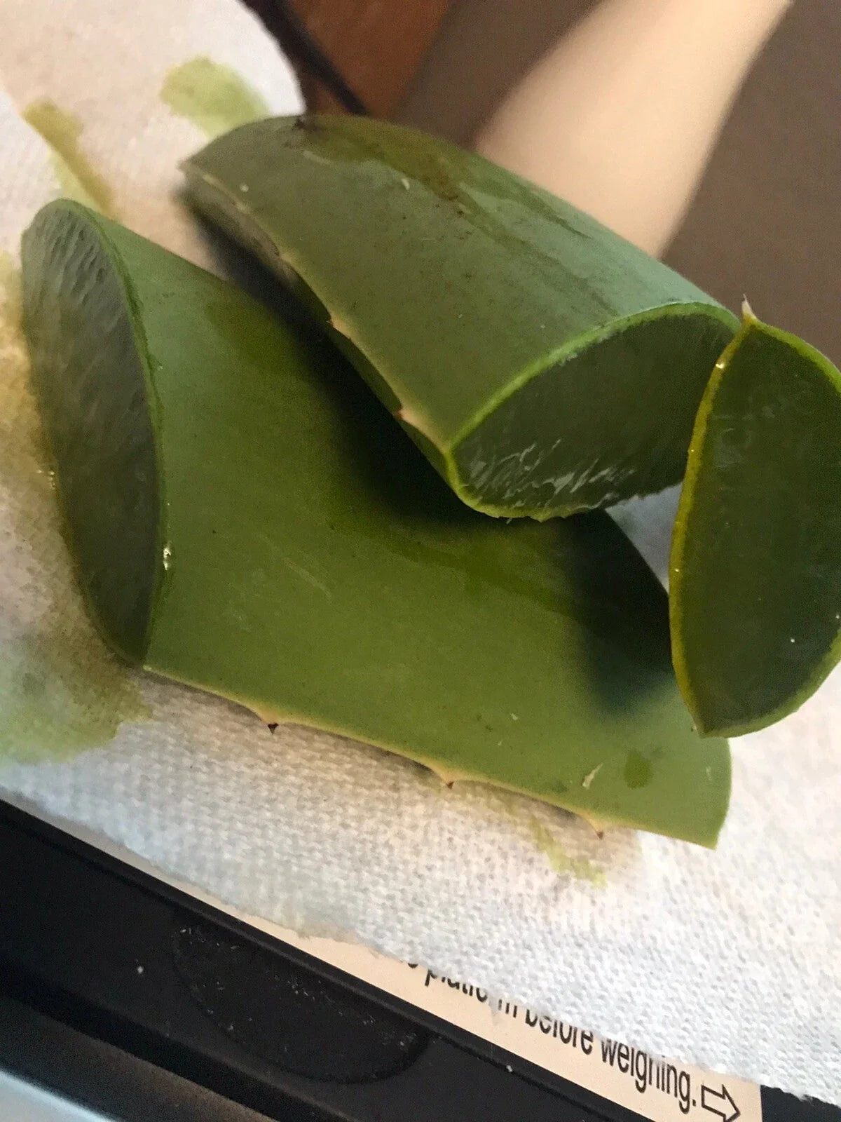 Fresh sliced aloe vera leaves on a white surface