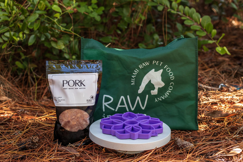 Raw PMR pork meal blend package with a purple flower-shaped slow feeder and Miami Raw Pet Food Company tote bag displayed outdoors on a natural forest floor, showcasing a biologically appropriate raw diet for cats and dogs.