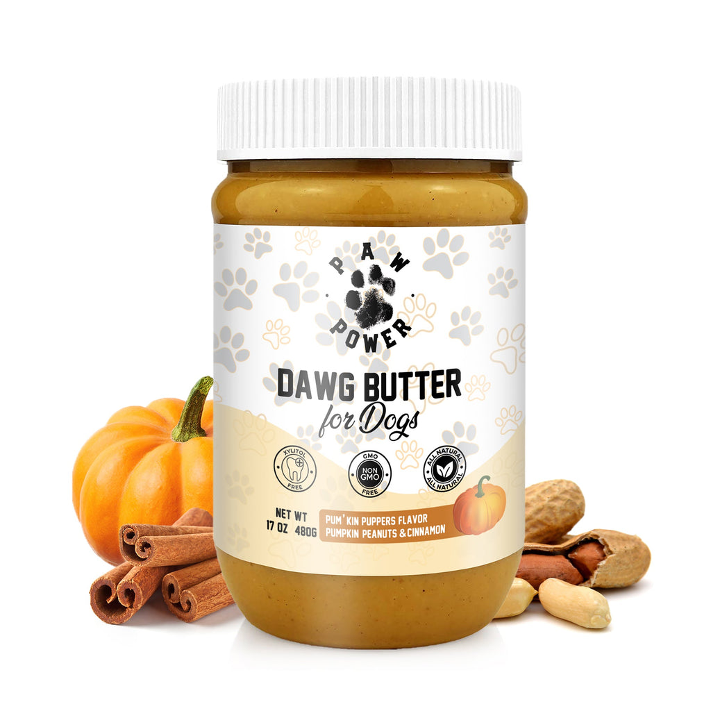 Jar of Dawg Butter for Dogs with pumpkins, cinnamon, and peanuts on a white background