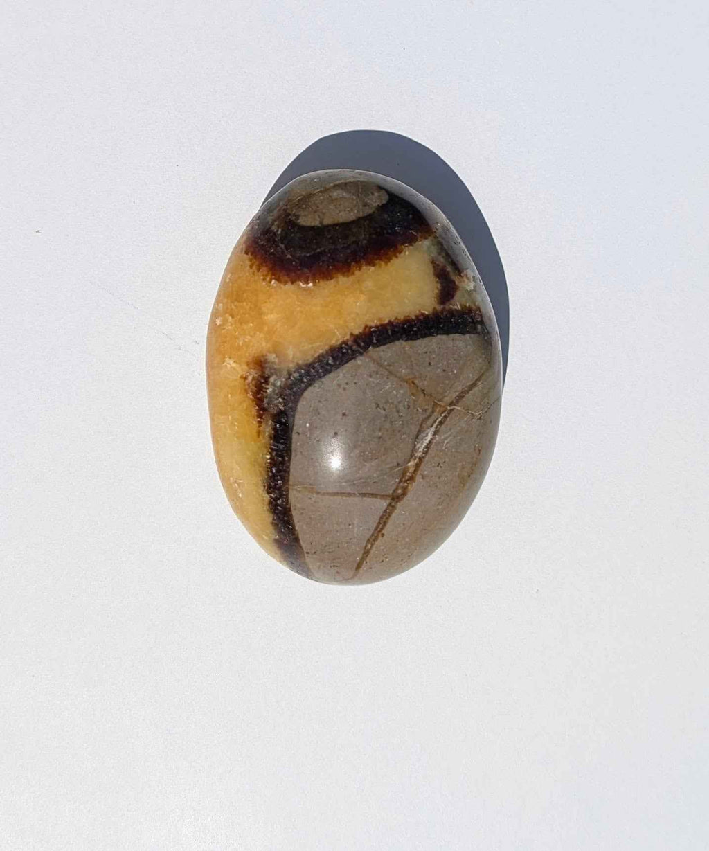 Septarian Palm Stones (Dragon Stone) – Grounding, Confidence & Ancient Earth Energy
