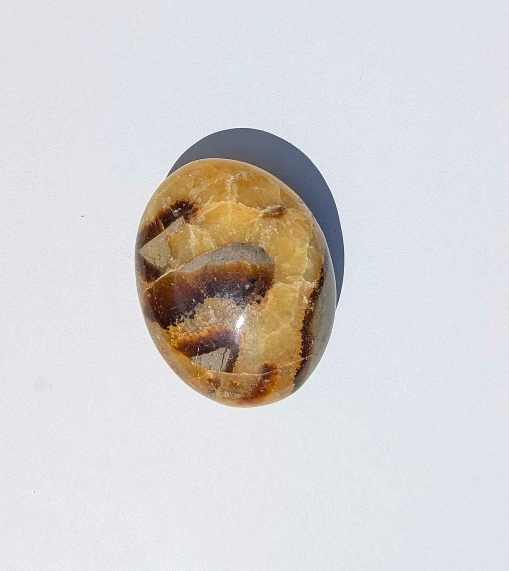 Septarian Palm Stones (Dragon Stone) – Grounding, Confidence & Ancient Earth Energy
