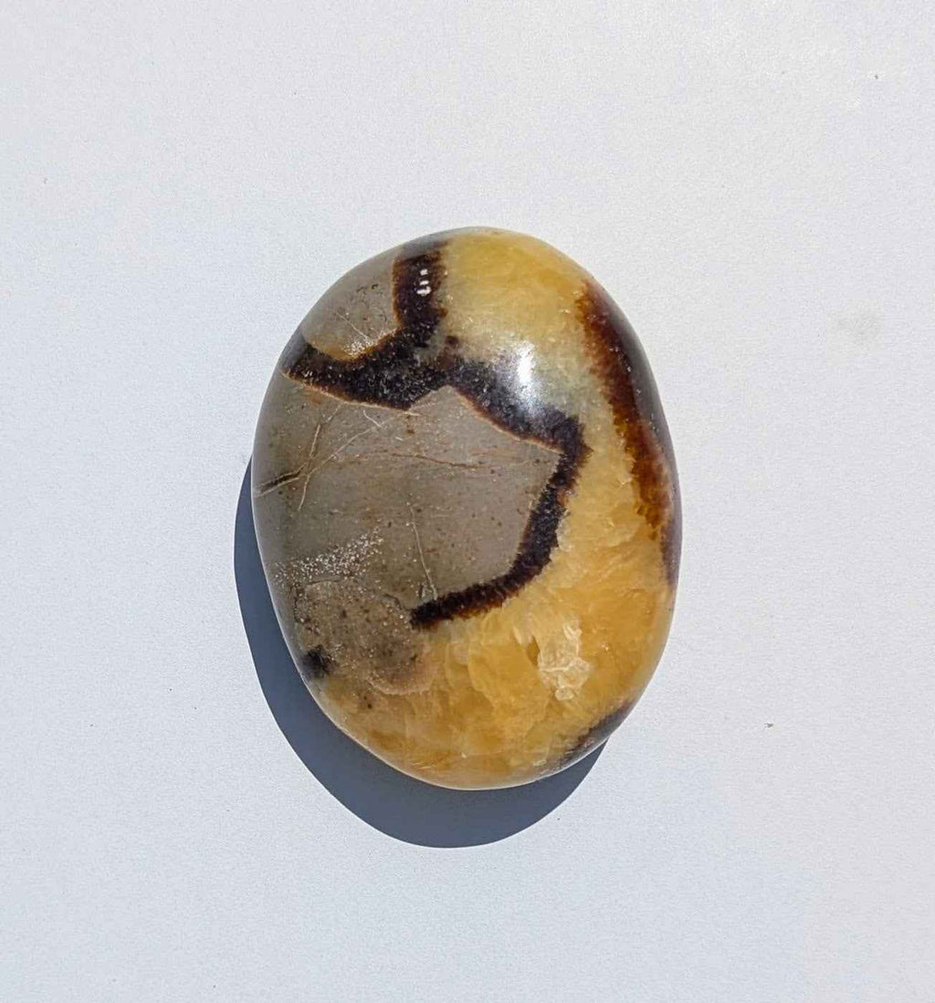 Septarian Palm Stones (Dragon Stone) – Grounding, Confidence & Ancient Earth Energy