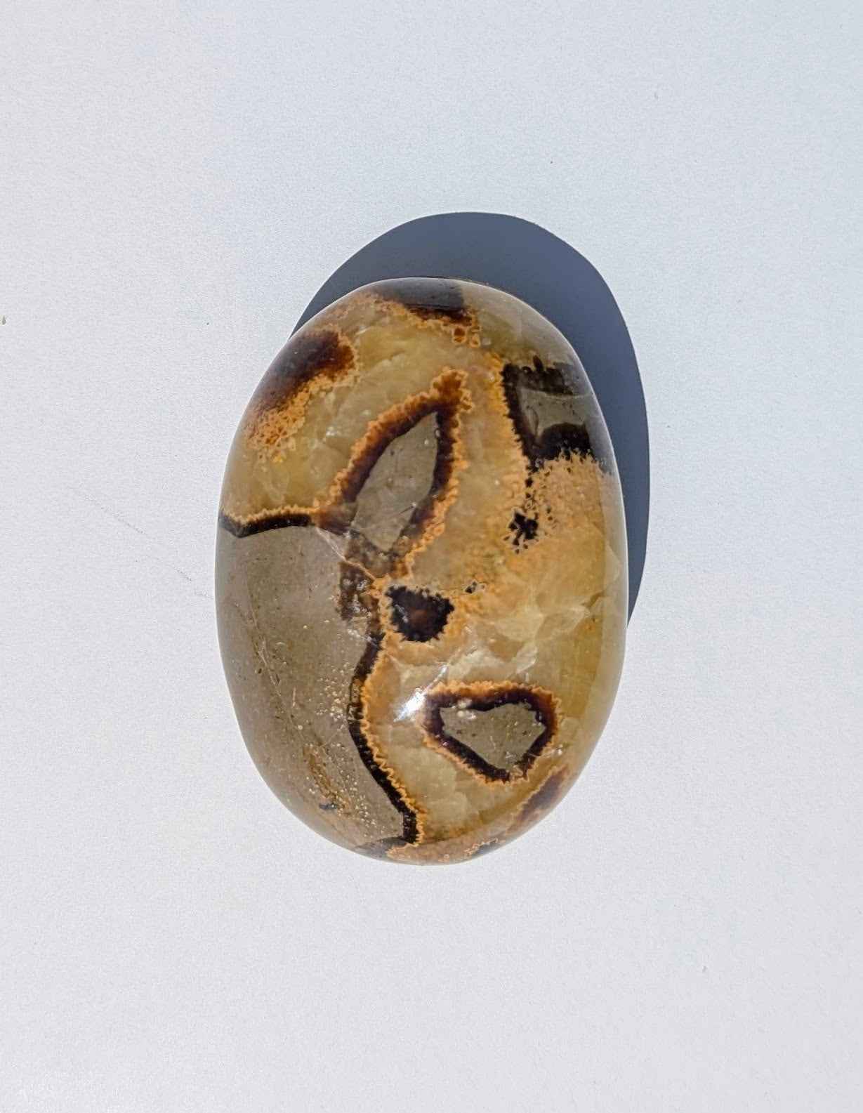 Septarian Palm Stones (Dragon Stone) – Grounding, Confidence & Ancient Earth Energy