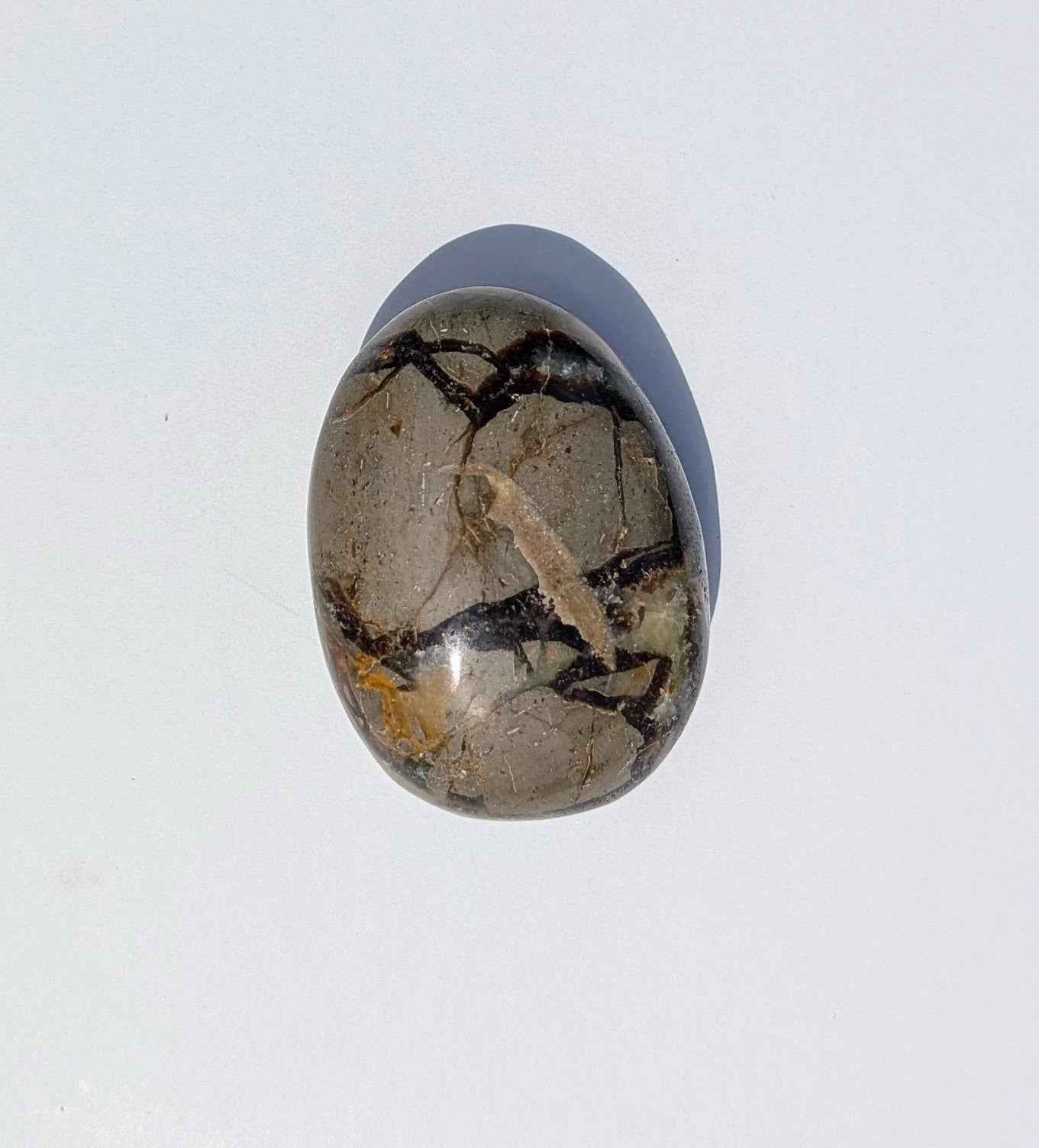 Septarian Palm Stones (Dragon Stone) – Grounding, Confidence & Ancient Earth Energy