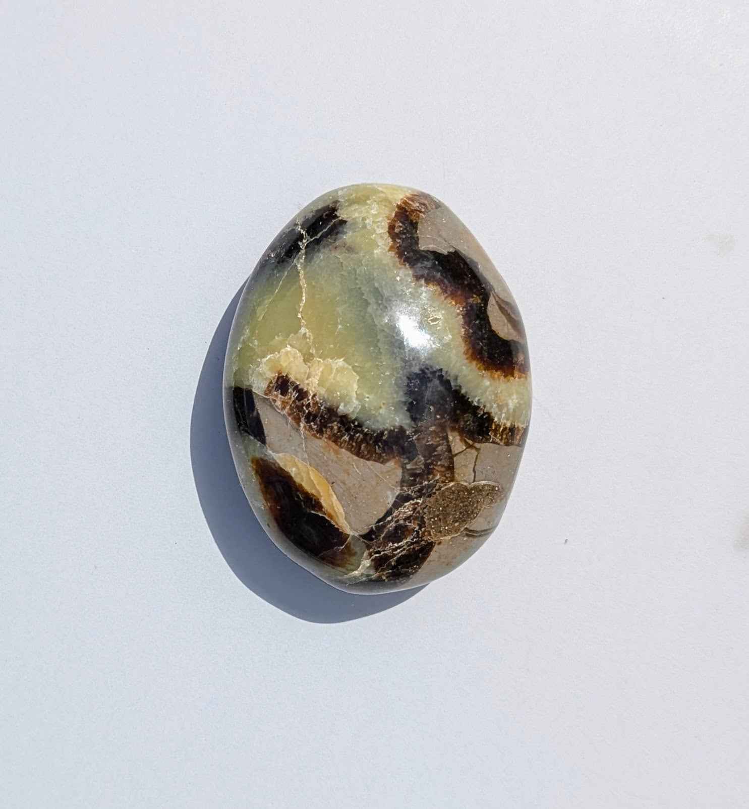 Septarian Palm Stones (Dragon Stone) – Grounding, Confidence & Ancient Earth Energy