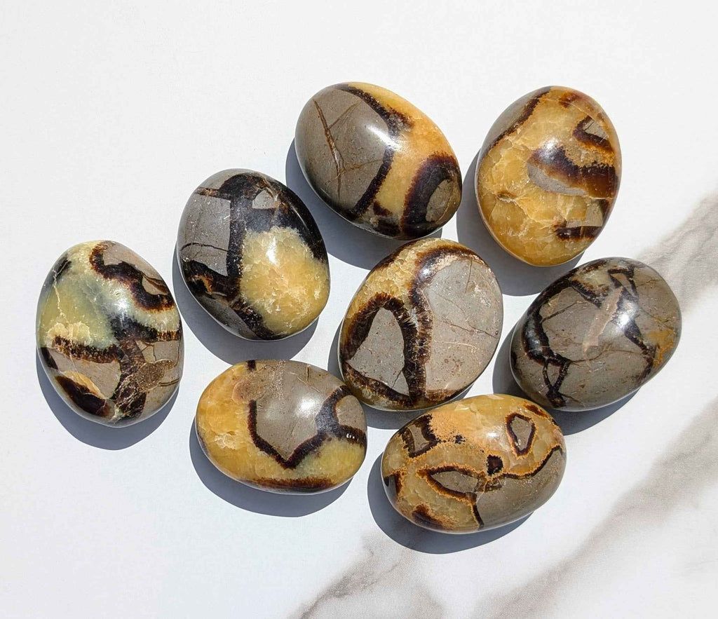 Septarian Palm Stones (Dragon Stone) – Grounding, Confidence & Ancient Earth Energy