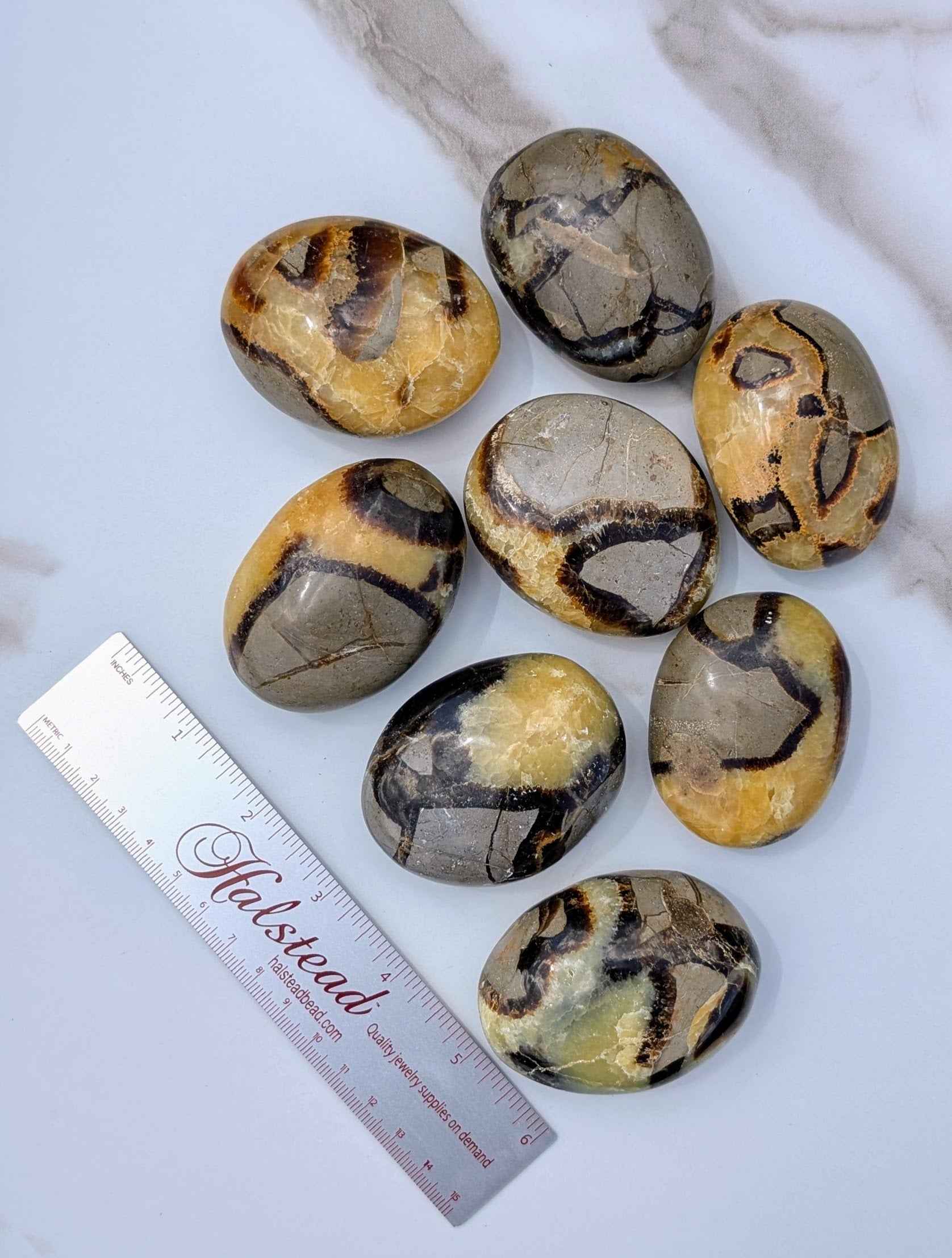 Septarian Palm Stones (Dragon Stone) – Grounding, Confidence & Ancient Earth Energy