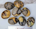 Septarian Palm Stones (Dragon Stone) – Grounding, Confidence & Ancient Earth Energy