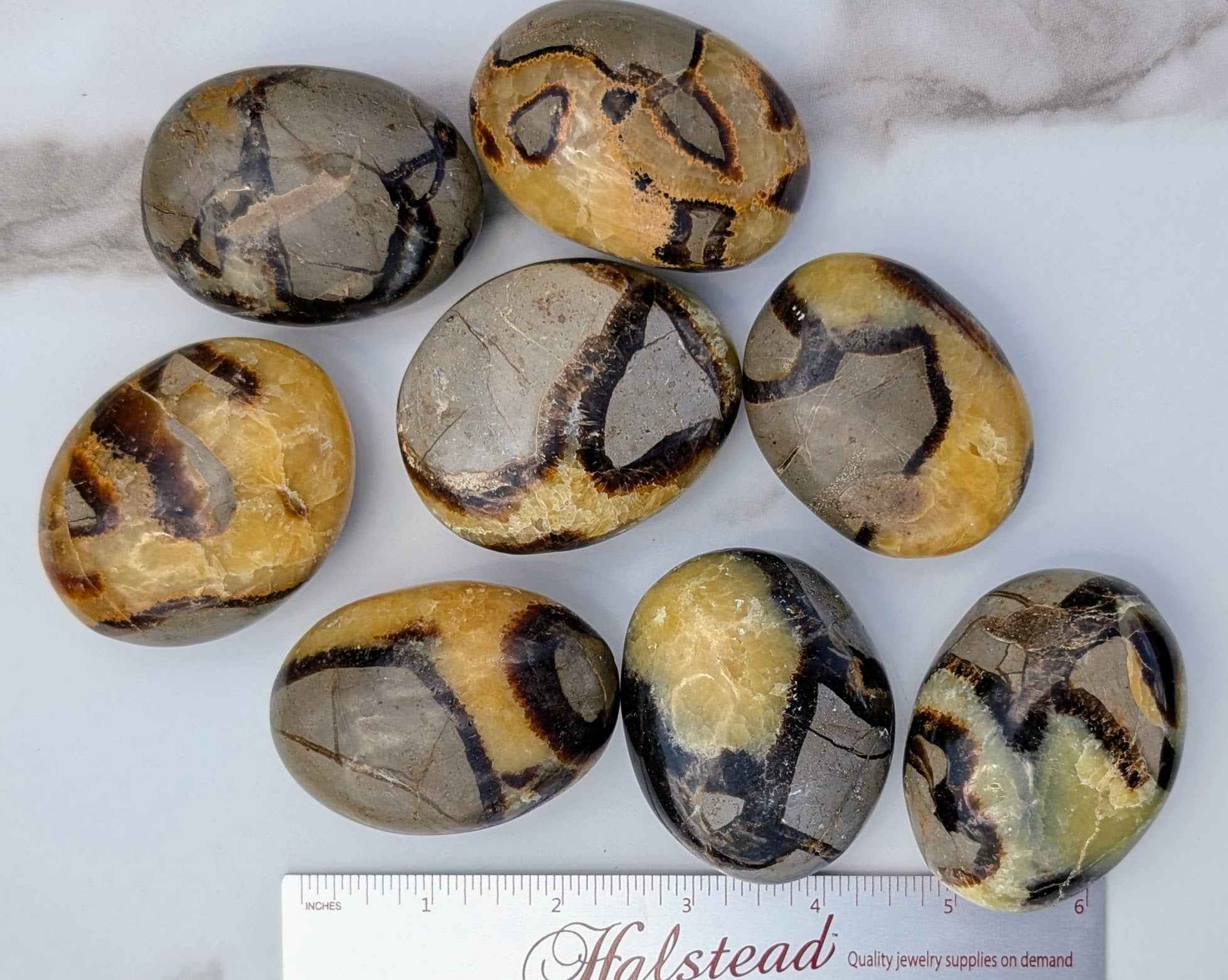 Septarian Palm Stones (Dragon Stone) – Grounding, Confidence & Ancient Earth Energy