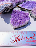 Amethyst Clusters
