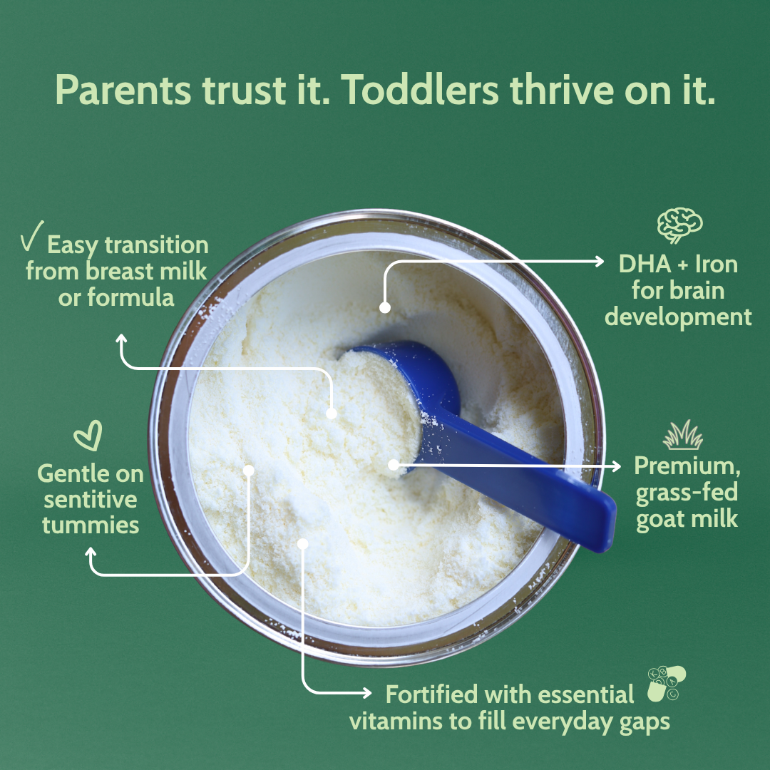 Holle Goat Milk Toddler Drink 6-Tin Bundle