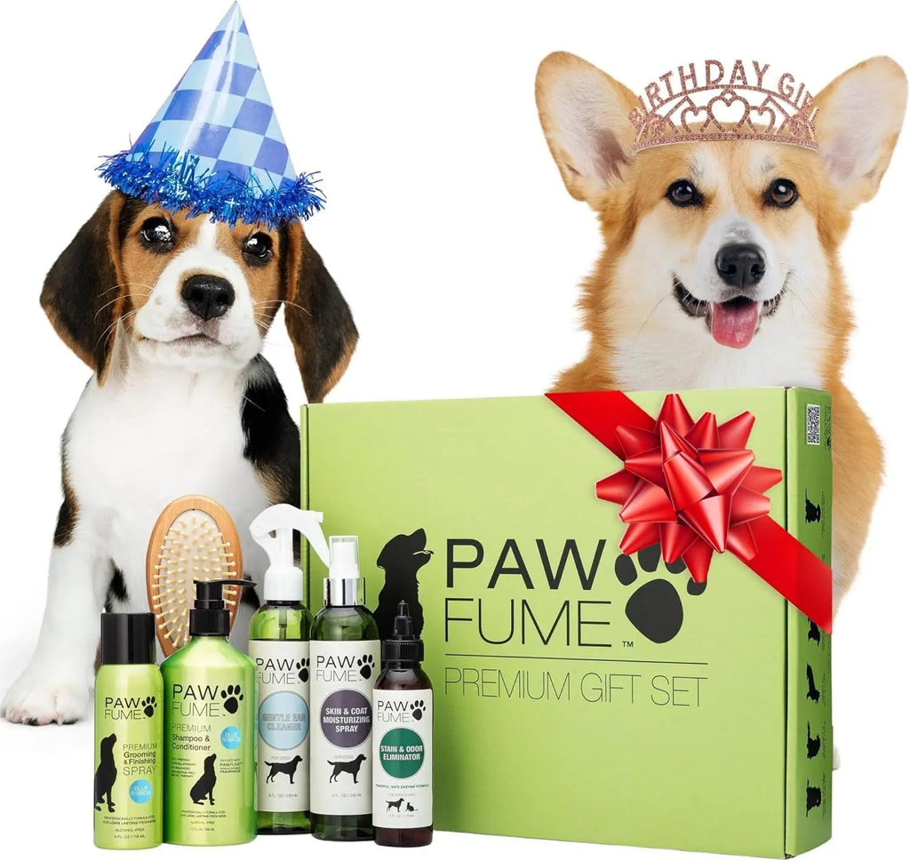 Paw Fume premium gift set with two dogs wearing party hats on a white background
