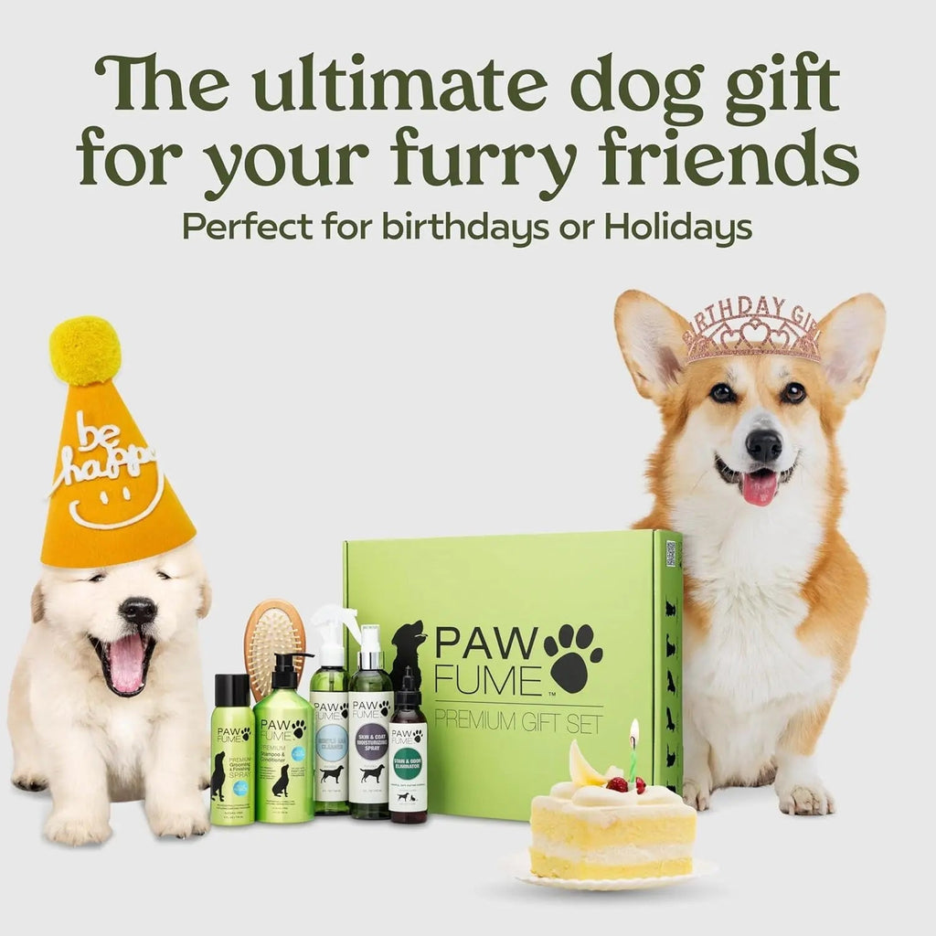Dog gift set with 'PAW-FUME' products, a cake, and dogs wearing party hats on a light gray background.
