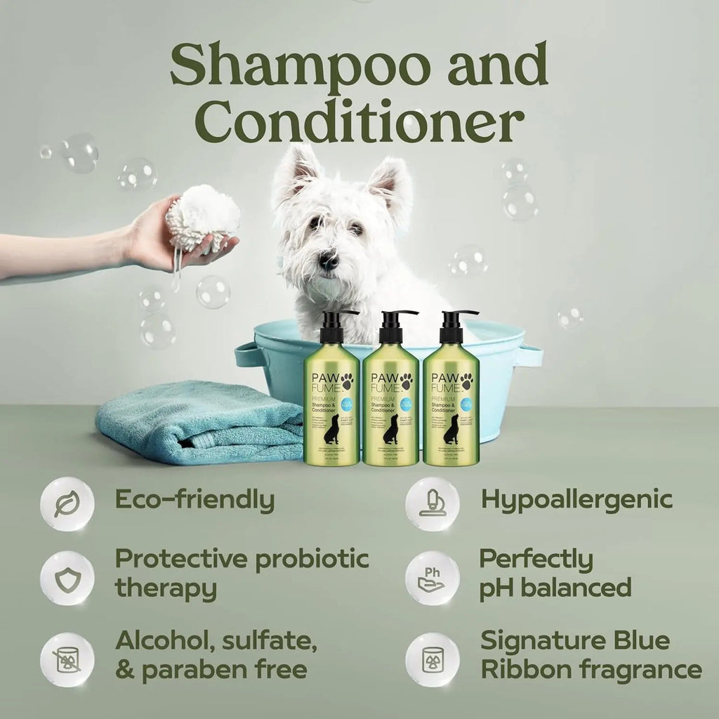 Paw shampoo and conditioner bottles with a dog and grooming tools on a gray background