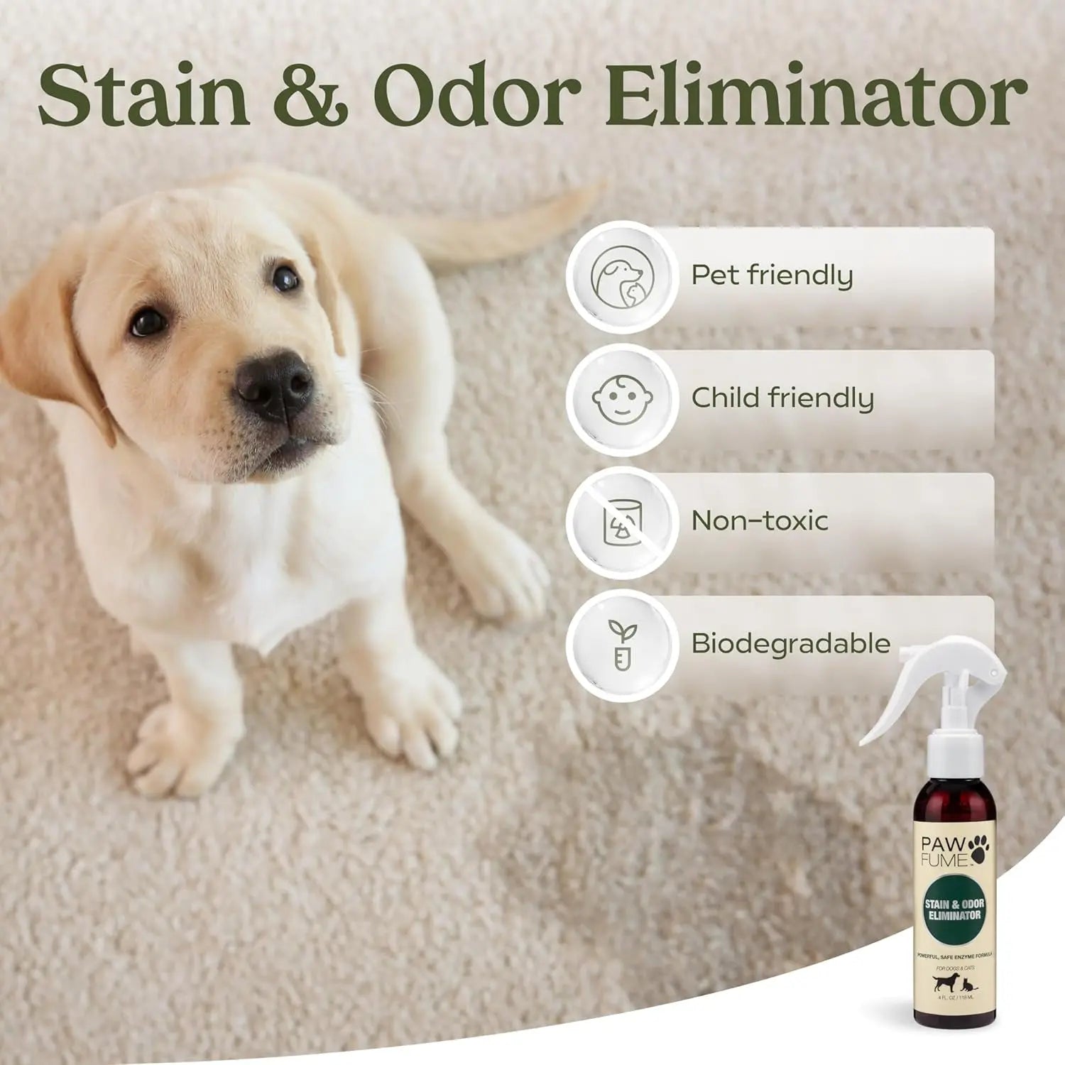 Puppy on carpet with stain and odor eliminator product and features listed.