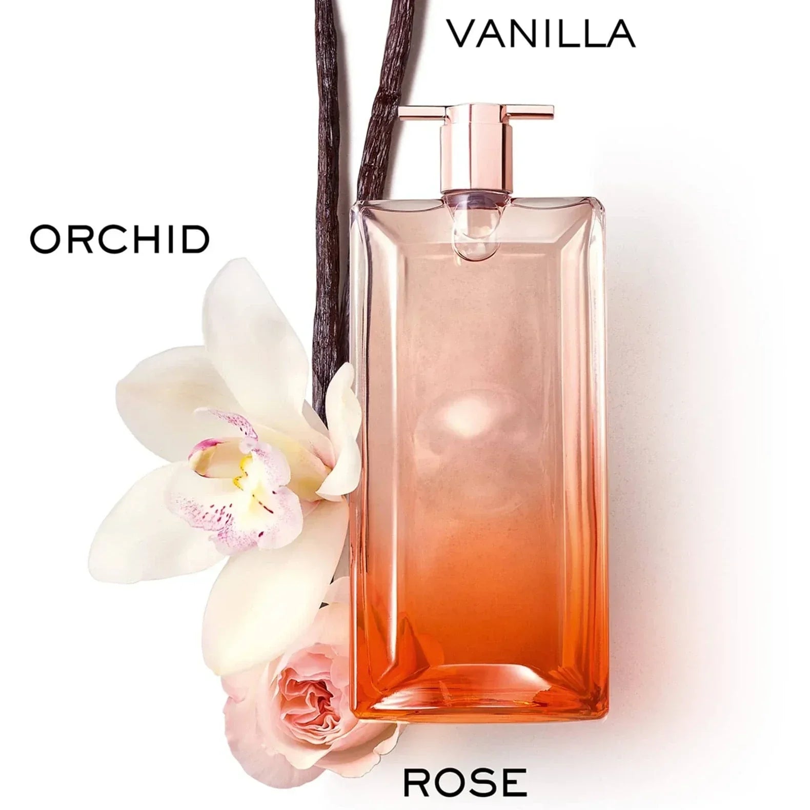 Lancôme Idôle Now Eau de Parfum for Women