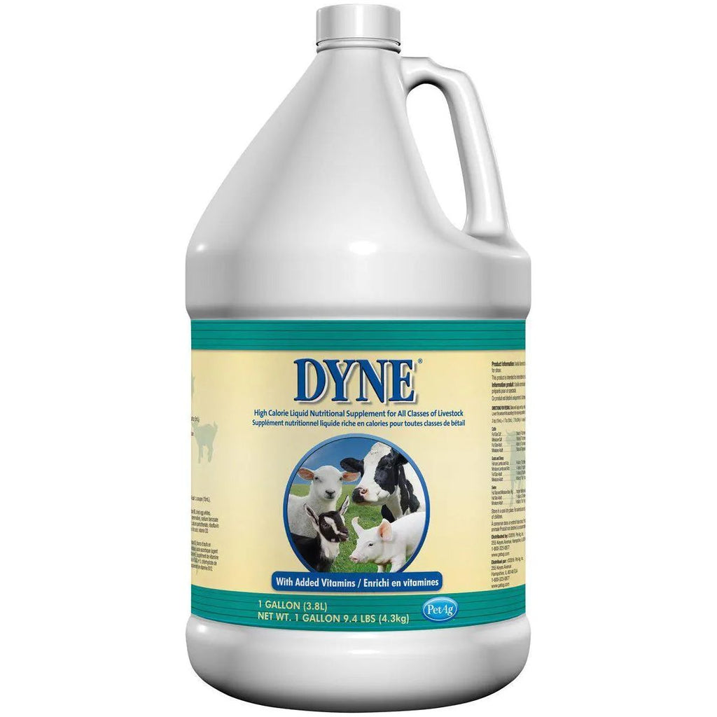 Pet-Ag Dyne High Nutritional Supplement for Livestock Gallon