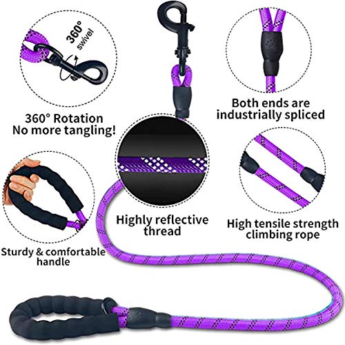 6 FT Dog Leash for Large and Medium Dogs-Purple Set of 5