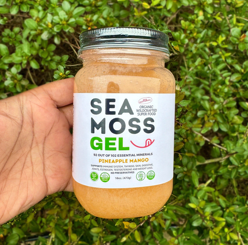 Hand holding a jar of Grind Naturally Organic Pineapple Mango Sea Moss Gel made with 100% raw wildcrafted St. Lucia sea moss, blended with pineapple and mango using alkaline water. Thick, smooth, vegan, gluten-free, non-GMO superfood gel rich in 92+ vitamins and minerals for immune support, digestive health, thyroid wellness, skin health, and daily nutrition, photographed outdoors with a lush green leafy background.