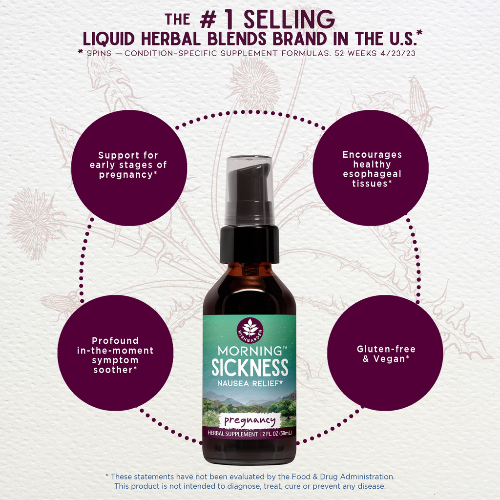 Bottle of 'Morning Sickness' nausea relief supplement with text about its benefits on a white background. Bottle of 'Morning Sickness Nausea Relief' with a green label on a white background. Herbal liquid pump bottle with Marshmallow root, Dandelion root, Burdock root, Cardamom seed, Cinnamon bark, Ginger root.