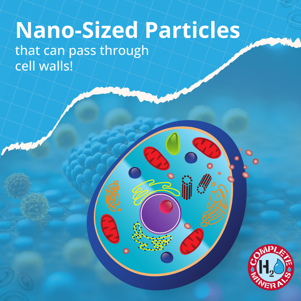 Illustration of a cell with nano-sized particles on a blue background, featuring the brand 'Complete Minerals'.
