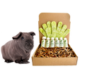 4-HAIRLESS PETS *SKINNYPIG SENSITIVE KIT