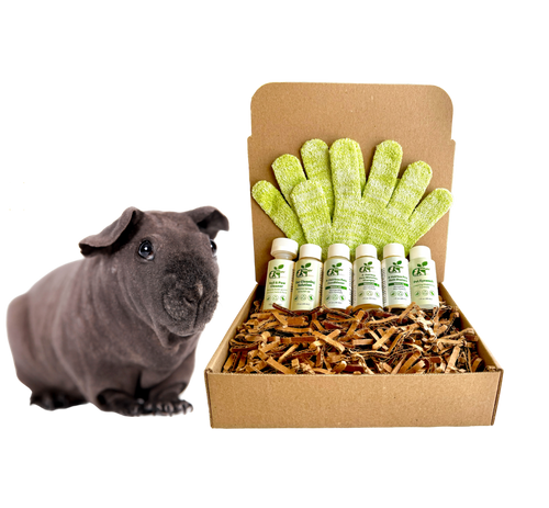 Hairless Guinea Pig Sensitive Skin Grooming Kit with Gentle Pet Care Products, Exfoliating Glove & Gift Box | ReNewedPet