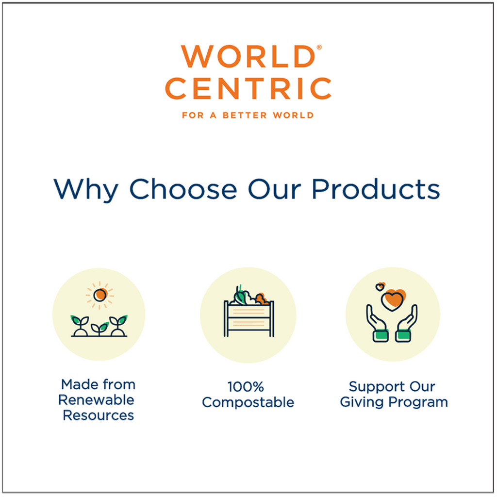 World Centric 6in TPLA Compostable Spoon (QTY 1000), SKU SP-PS-6