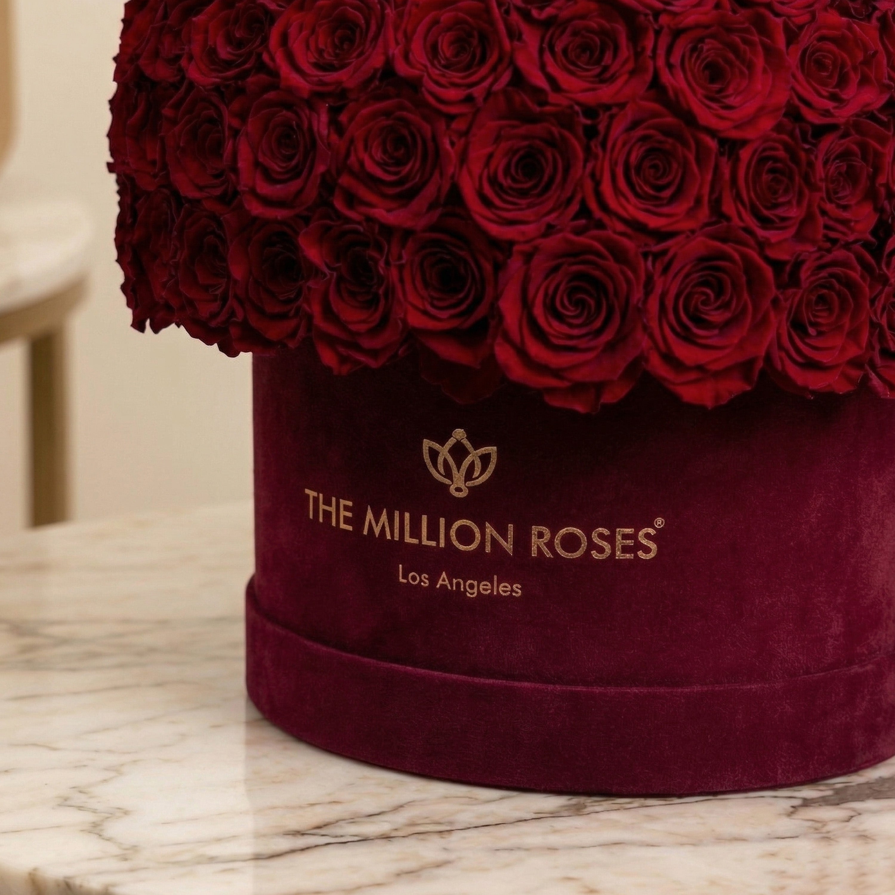 Supreme Bordeaux Suede Superdome Box | Burgundy Roses