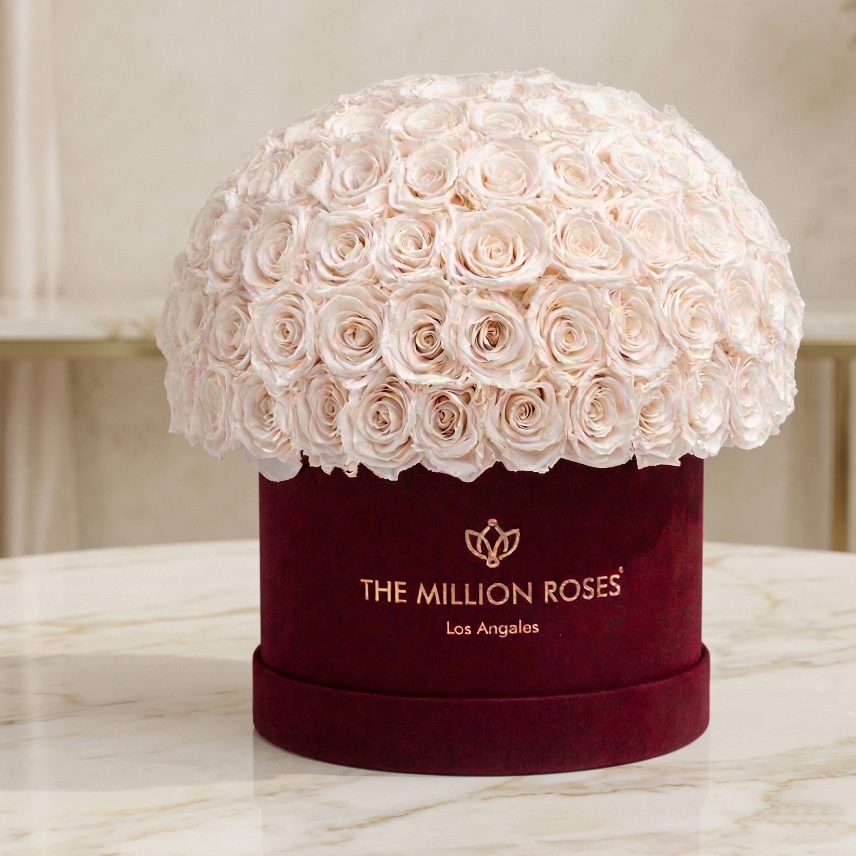 Supreme Bordeaux Suede Superdome Box | White Roses