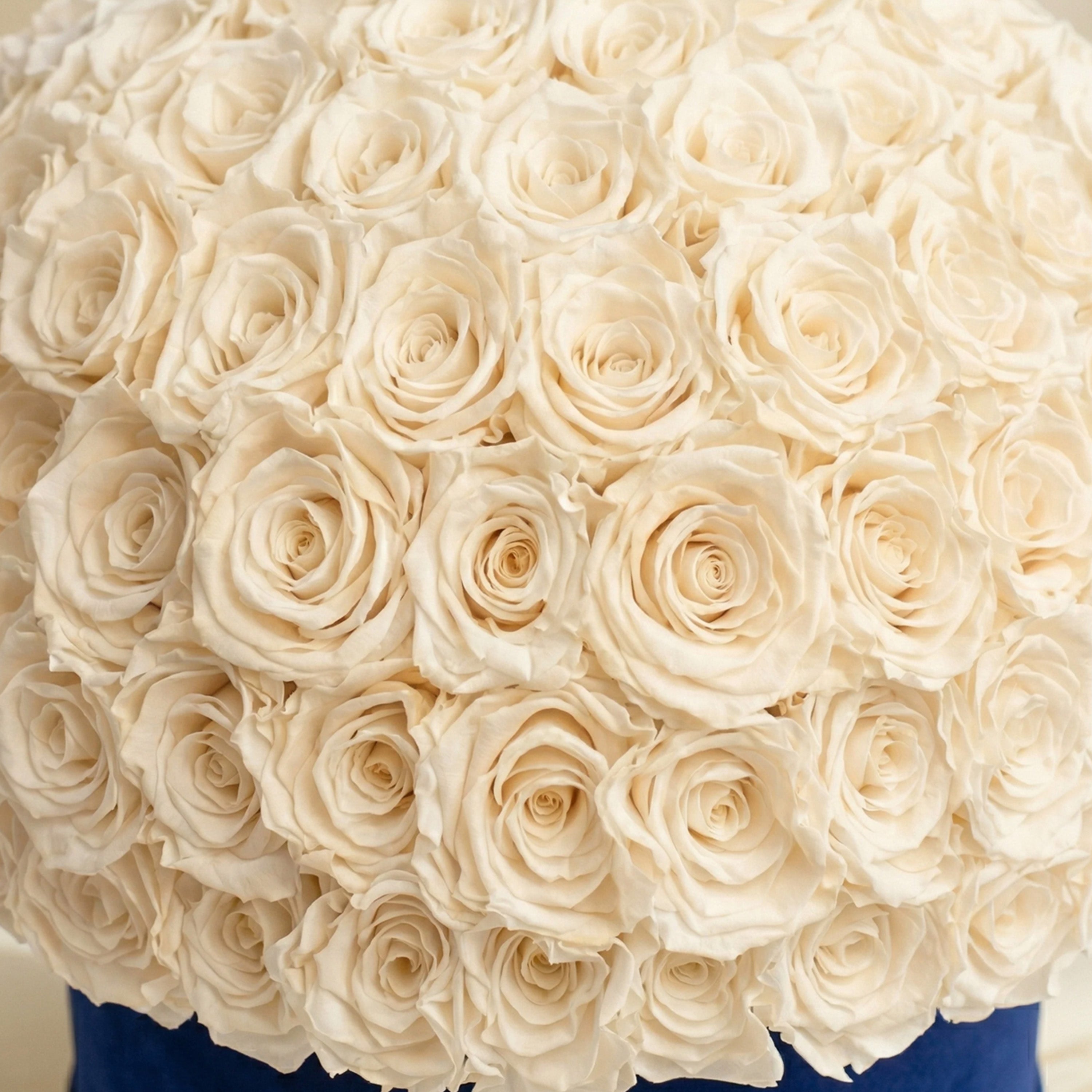 Supreme Royal Blue Suede Superdome Box | White Roses
