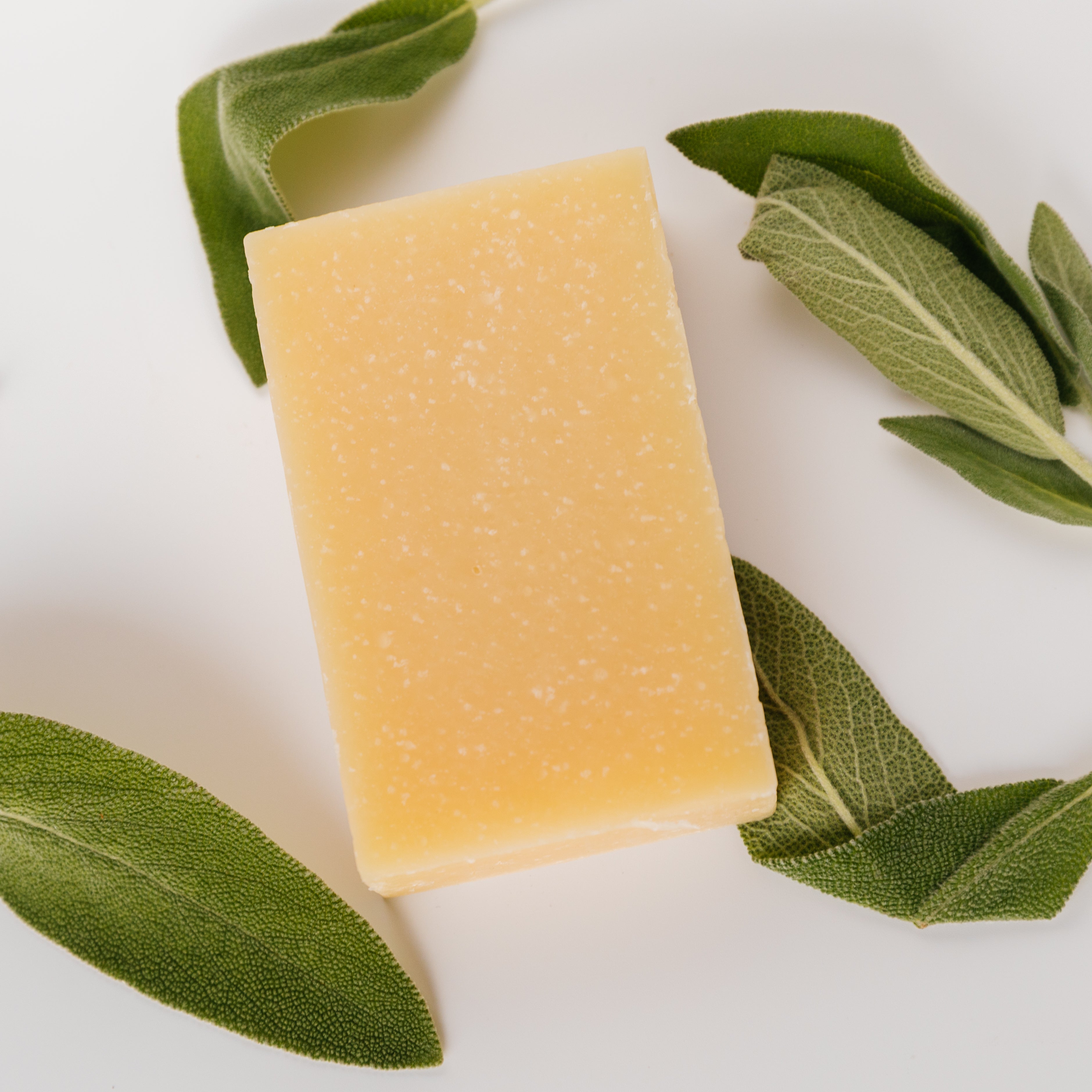 Bar of soap with green leaves on a white background