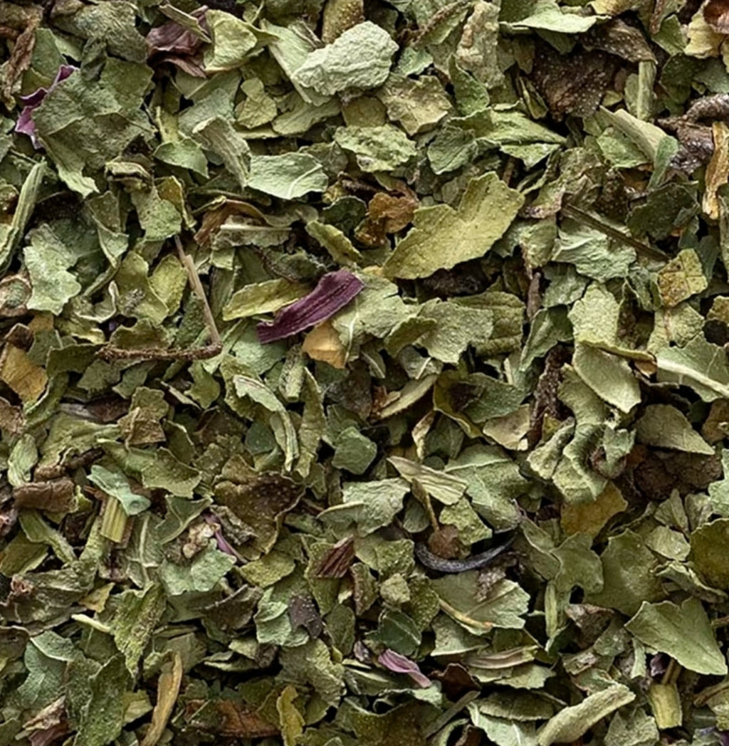 Echinacea (Echinacea purpurea)