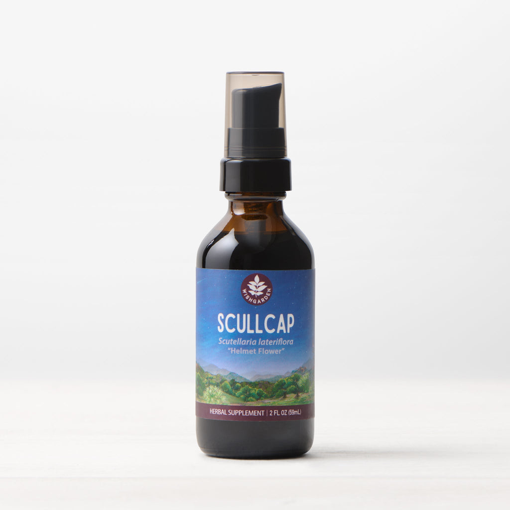 Bottle of Scullcap supplement with a blue label on a white background. Scullcap Tincture - Convenient Pump Bottle for Easy, Mess-Free Serving 2 FL OZ (59 mL) 