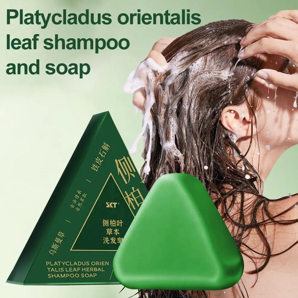 Platycladus Orientalis Shampoo Bar Natural Herbal Soap For Hair Loss Controls Oil Strengthens Root Shampoo Soap Hair Accessories