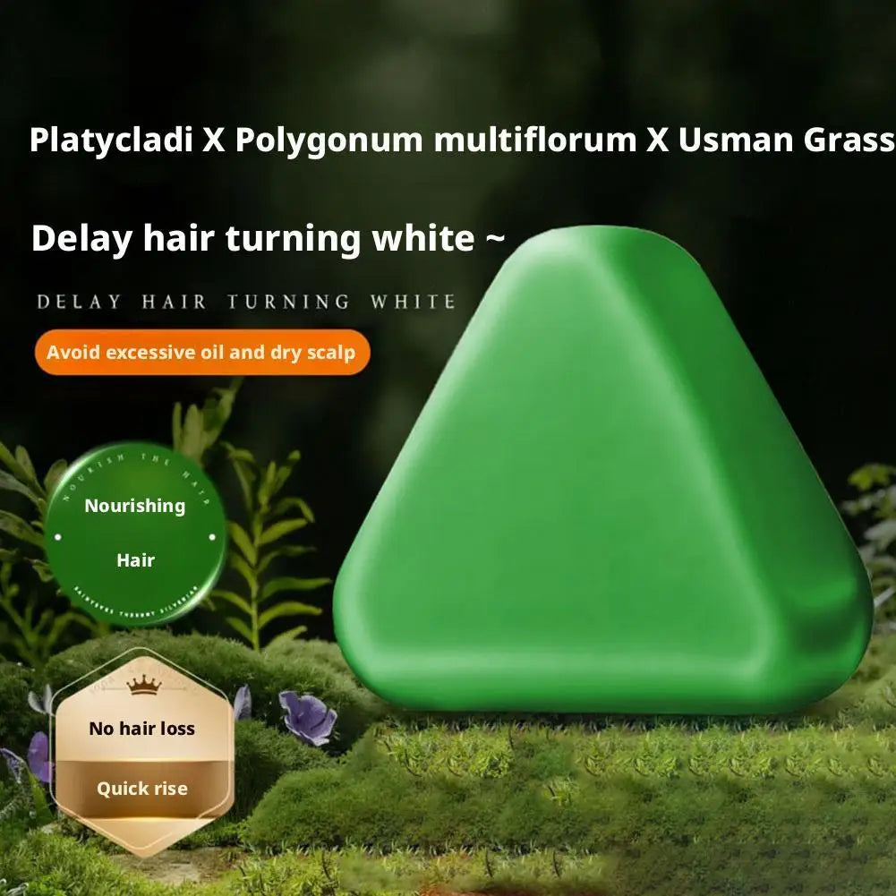Platycladus Orientalis Shampoo Bar Natural Herbal Soap For Hair Loss Controls Oil Strengthens Root Shampoo Soap Hair Accessories