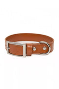 Sierra Sunrise Vegan Leather Dog Collar