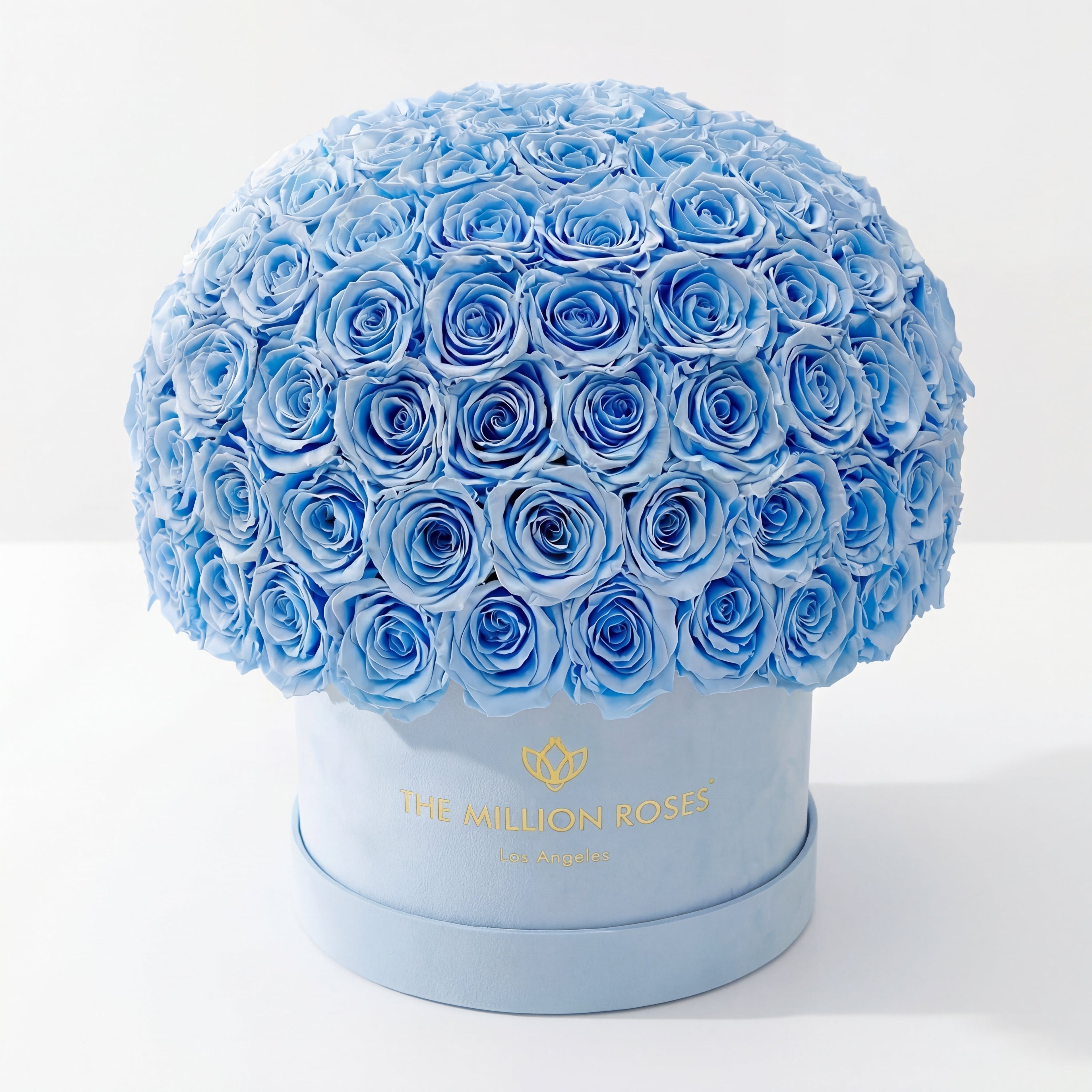 Supreme Light Blue Suede Superdome Box | Light Blue Roses