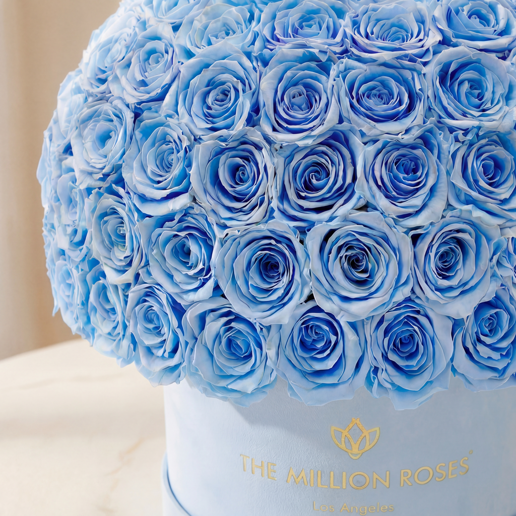 Supreme Light Blue Suede Superdome Box | Light Blue Roses