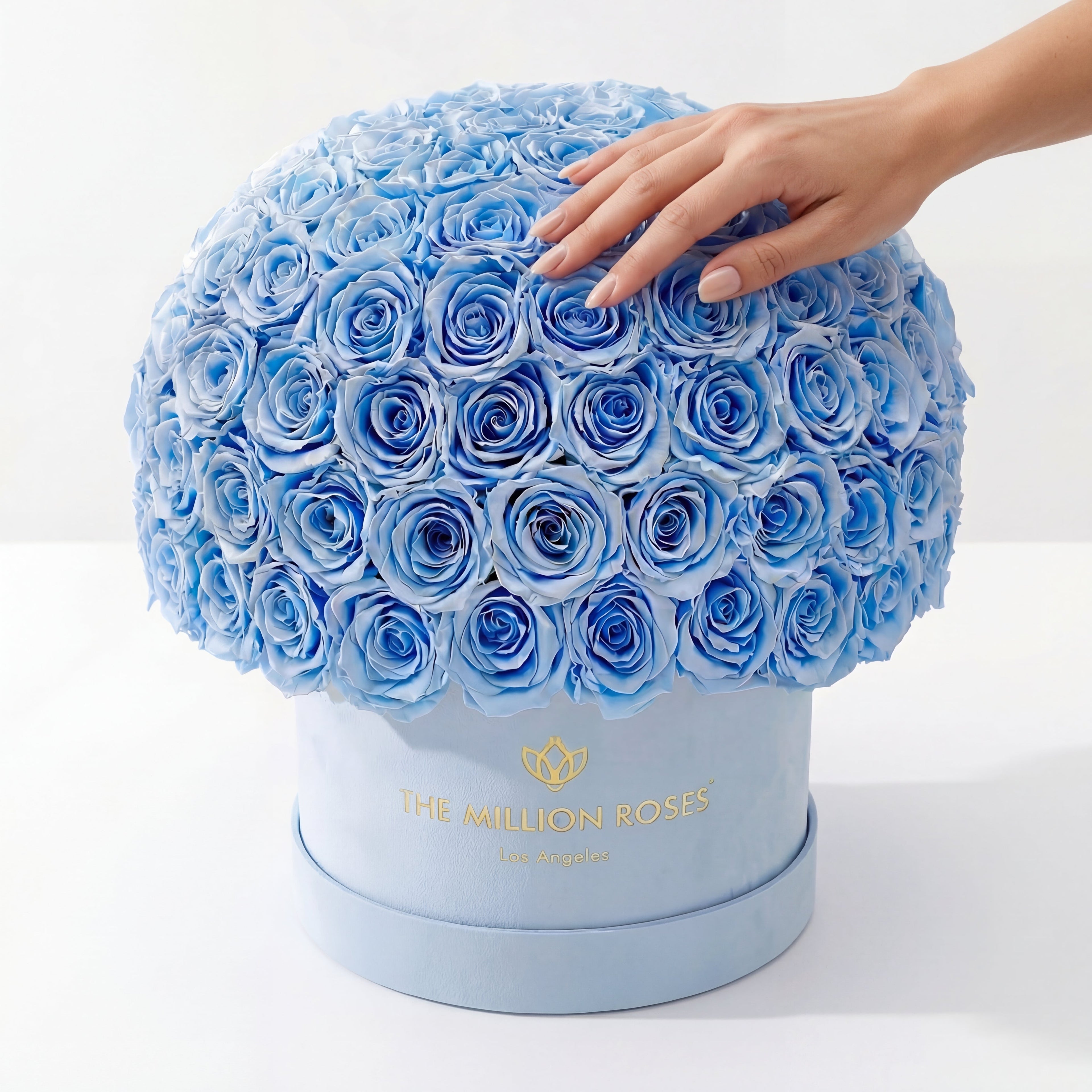 Supreme Light Blue Suede Superdome Box | Light Blue Roses