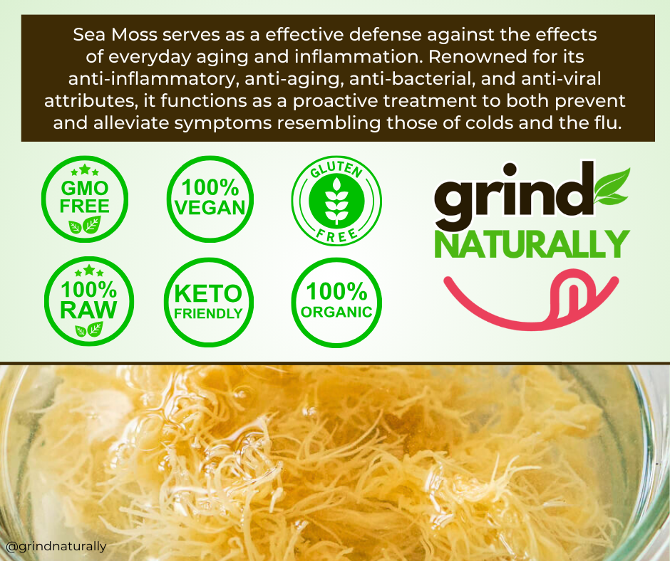 Sea Moss Gel health benefits infographic featuring wild harvested St. Lucia sea moss, anti-inflammatory and immune support benefits, GMO-free, 100% vegan, gluten-free, keto-friendly, 100% organic certifications, Grind Naturally Organics branding, and raw sea moss gel in a glass jar.