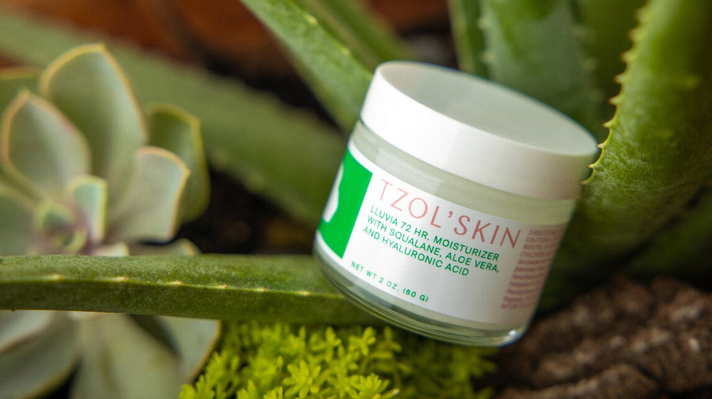 TZOL’SKIN Lluvia 72HR Moisturizer with squalane, aloe vera and hyaluronic acid, hydrating face cream for long-lasting moisture, dry skin care and facial hydration, 2 oz skincare jar surrounded by fresh aloe vera and succulent plants