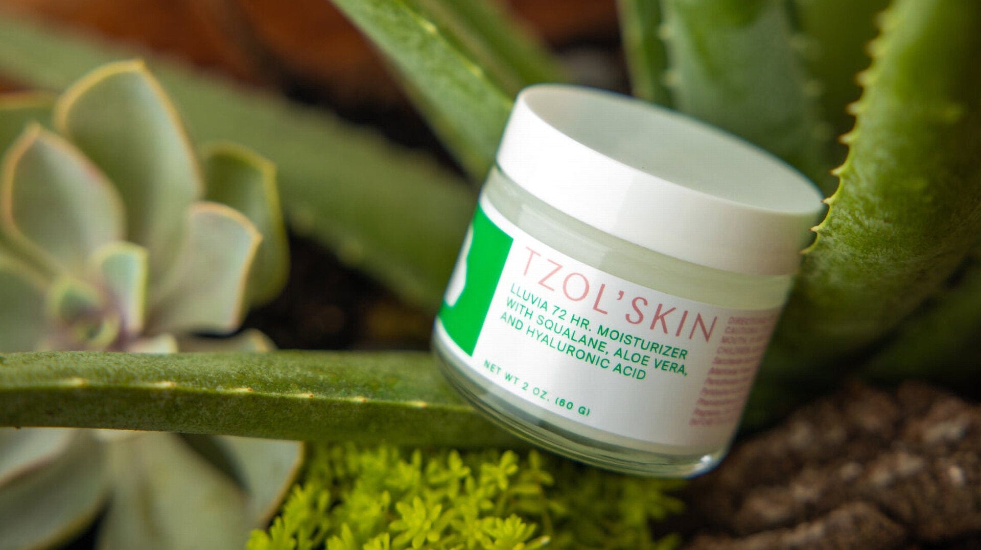 TZOL’SKIN Lluvia 72HR Moisturizer with squalane, aloe vera and hyaluronic acid, hydrating face cream for long-lasting moisture, dry skin care and facial hydration, 2 oz skincare jar surrounded by fresh aloe vera and succulent plants